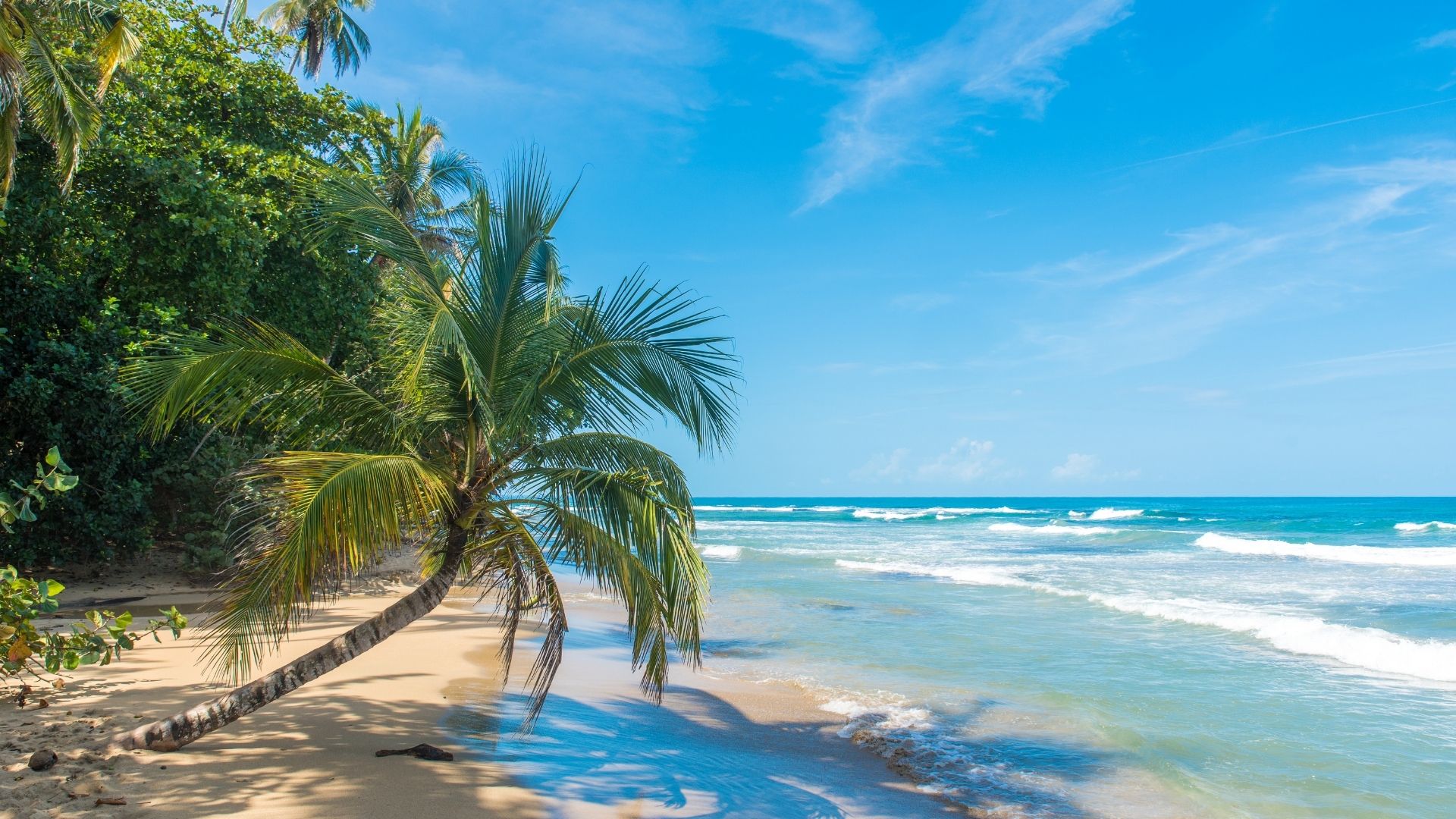 Tortuguero - Puerto Viejo (2/2)
